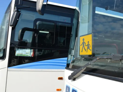 Les chauffeurs de cars scolaires très prisés 